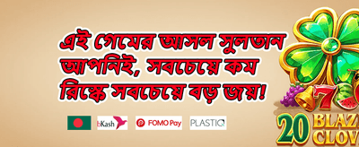 ভিডিও স্লটস